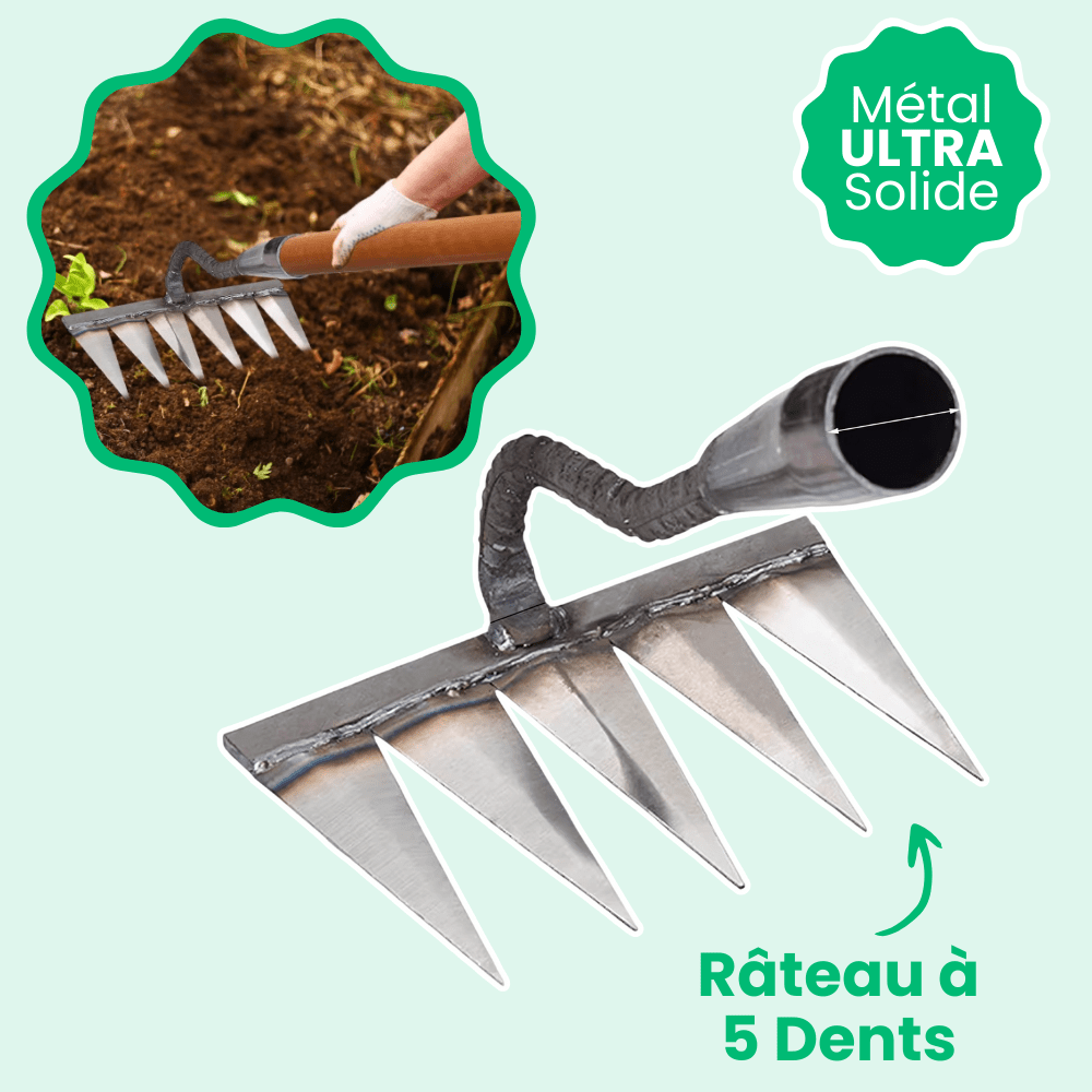 Râteau désherbeur à dents tranchantes, 5, 6 ou 7 dents