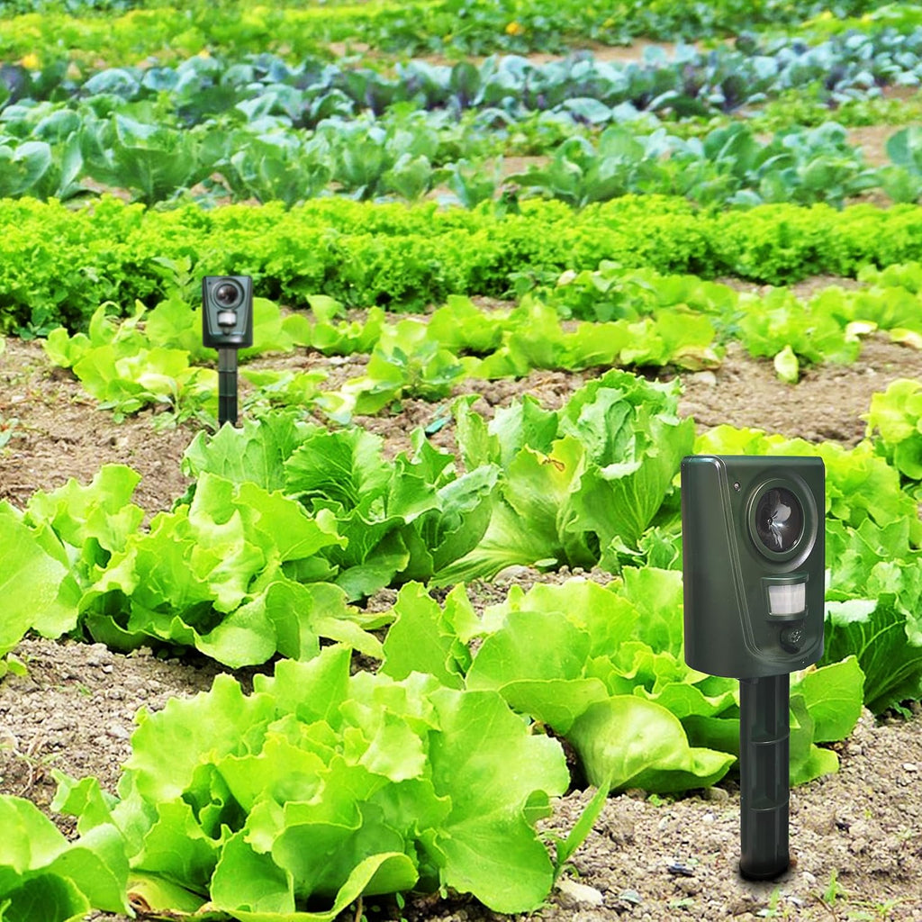Répulsif chat à ultrasons pour jardin, détecteur de mouvement