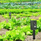 Répulsif chat à ultrasons pour jardin, détecteur de mouvement