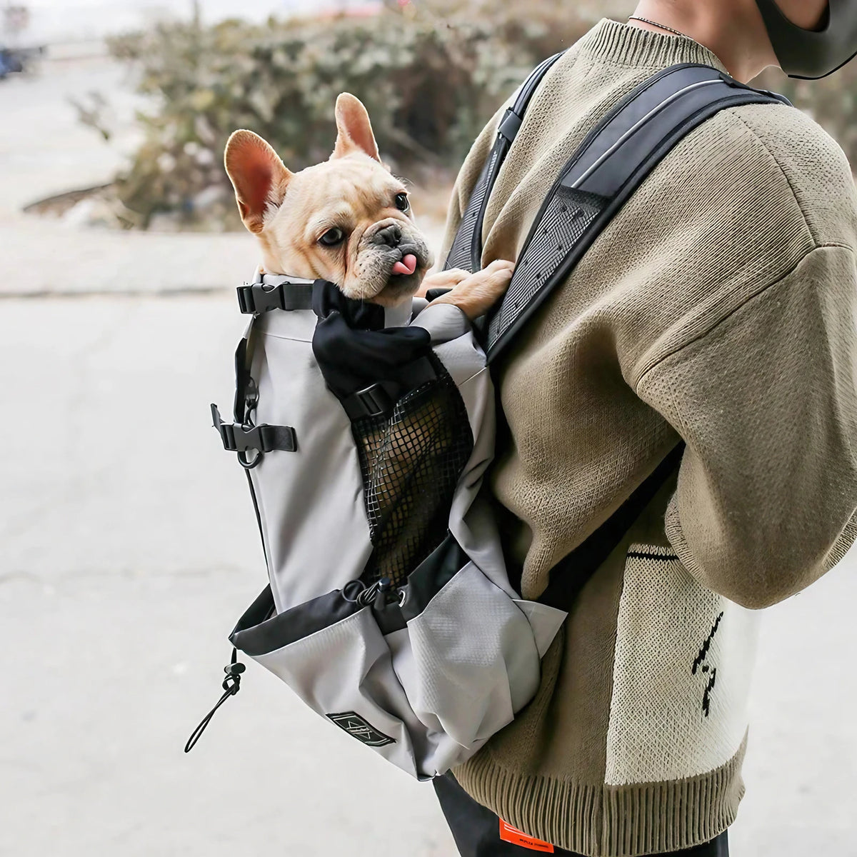 Sac à dos de transport pour chien, quatre tailles jusqu'à 25 kg