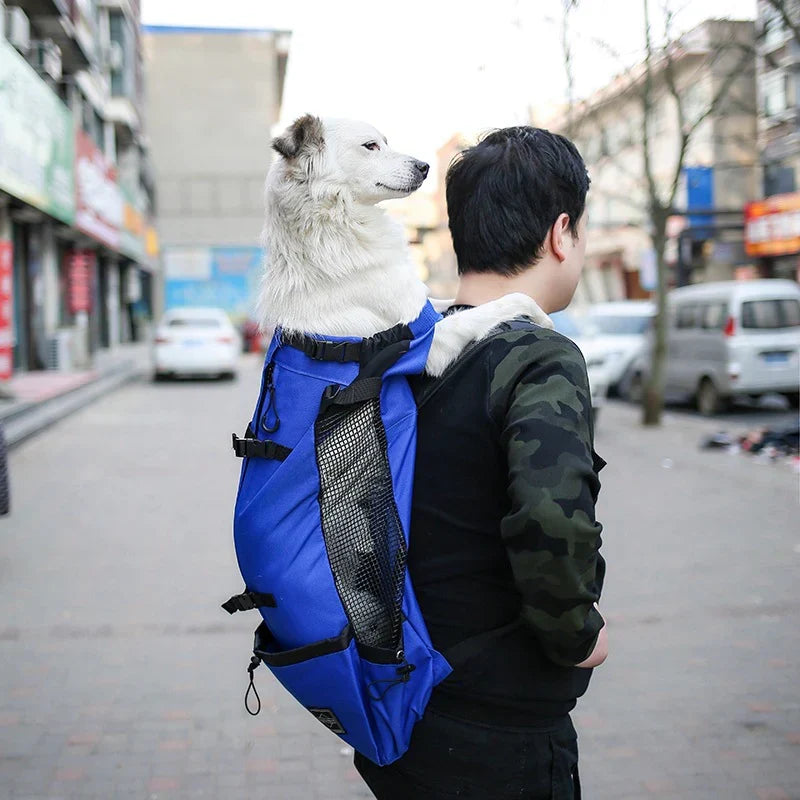 Sac à dos de transport pour chien, quatre tailles jusqu'à 25 kg, bleu