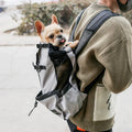 Sac à dos de transport pour chien, quatre tailles jusqu'à 25 kg, gris
