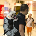 Sac à dos de transport pour chien, quatre tailles jusqu'à 25 kg