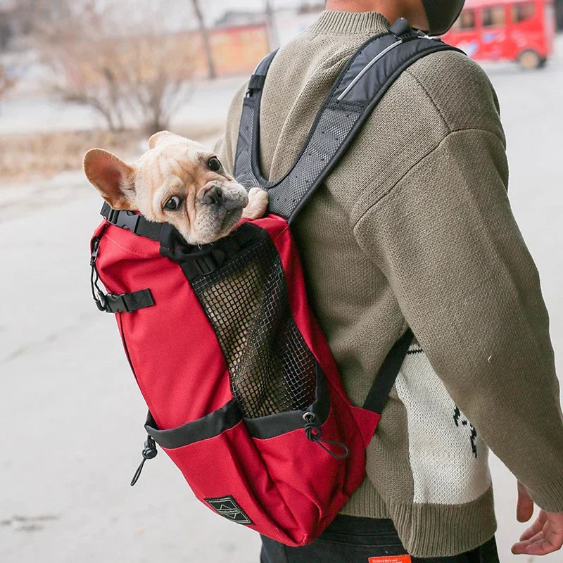 Sac à dos de transport pour chien, quatre tailles jusqu'à 25 kg, rouge