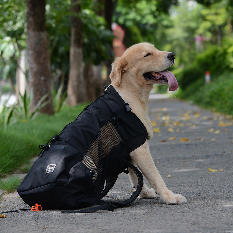 Sac à dos de transport pour chien, quatre tailles jusqu'à 25 kg