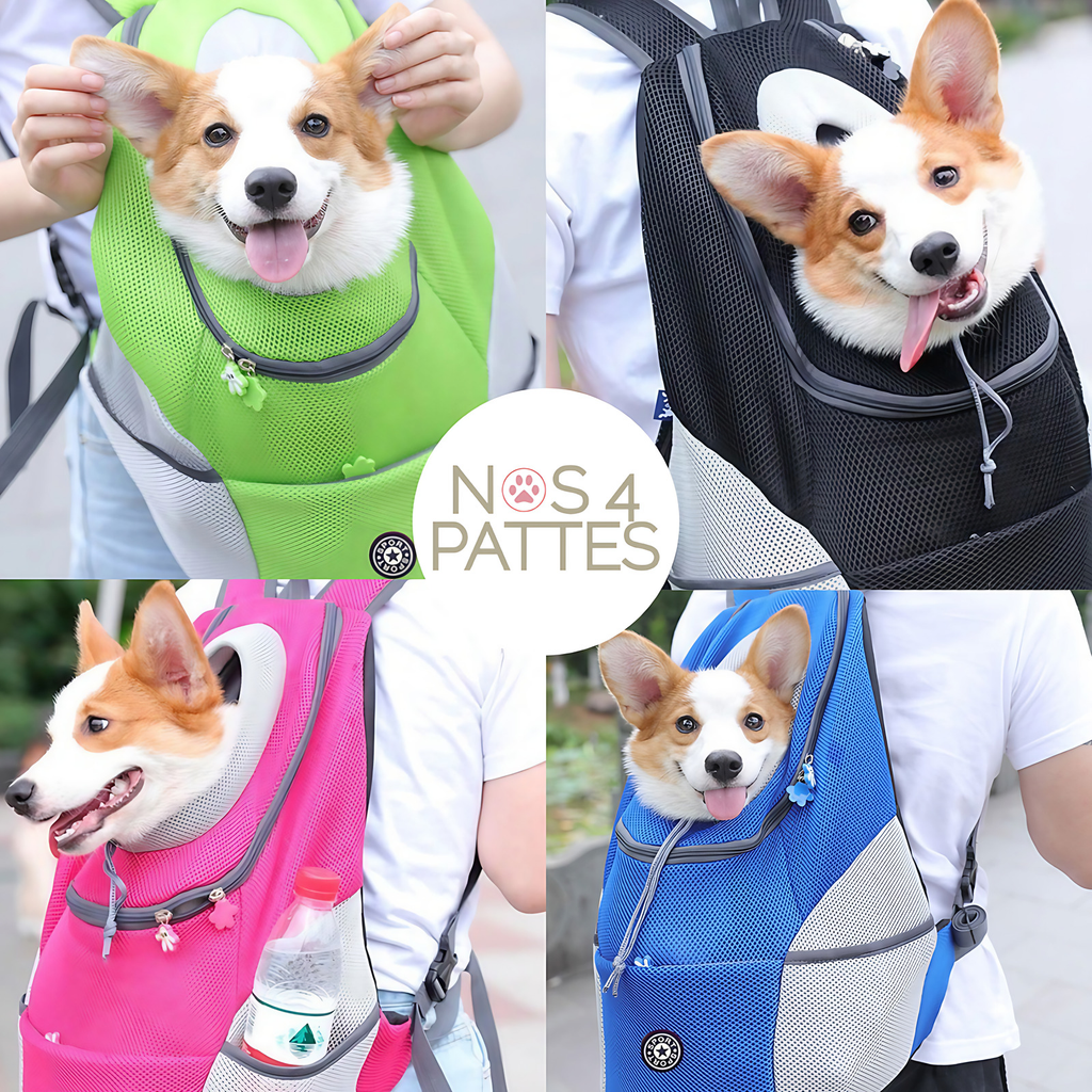 Sac de transport pour chat ou petit chien, porté dos ou ventre
