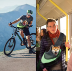 Sac de transport pour chien en bandoulière rembourrée, S ou L