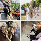 Sac de transport chien 2 en 1, ventral ou dos, imperméable