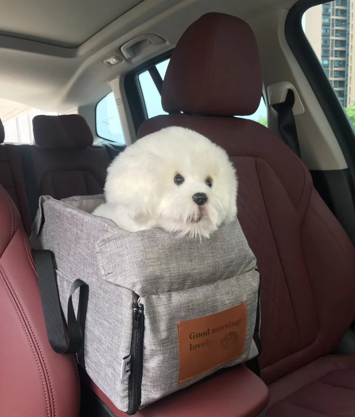 Siège de voiture pour chien rembourré avec attache, deux tailles