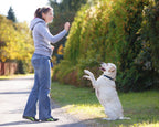 Sifflet à ultrasons pour chien, fréquence réglable, porte-clé