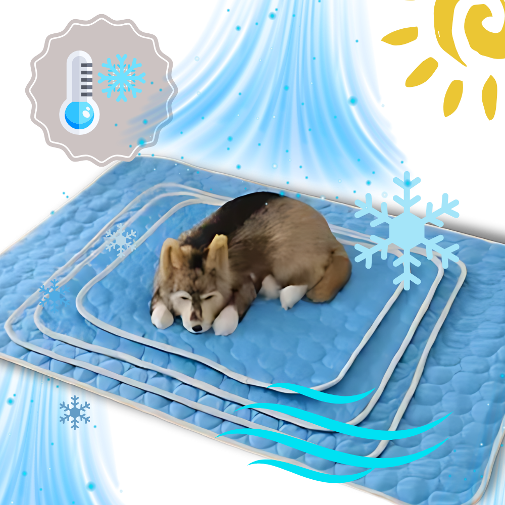 Tapis rafraîchissant pour chien et chat, cinq coloris, du XS au XL