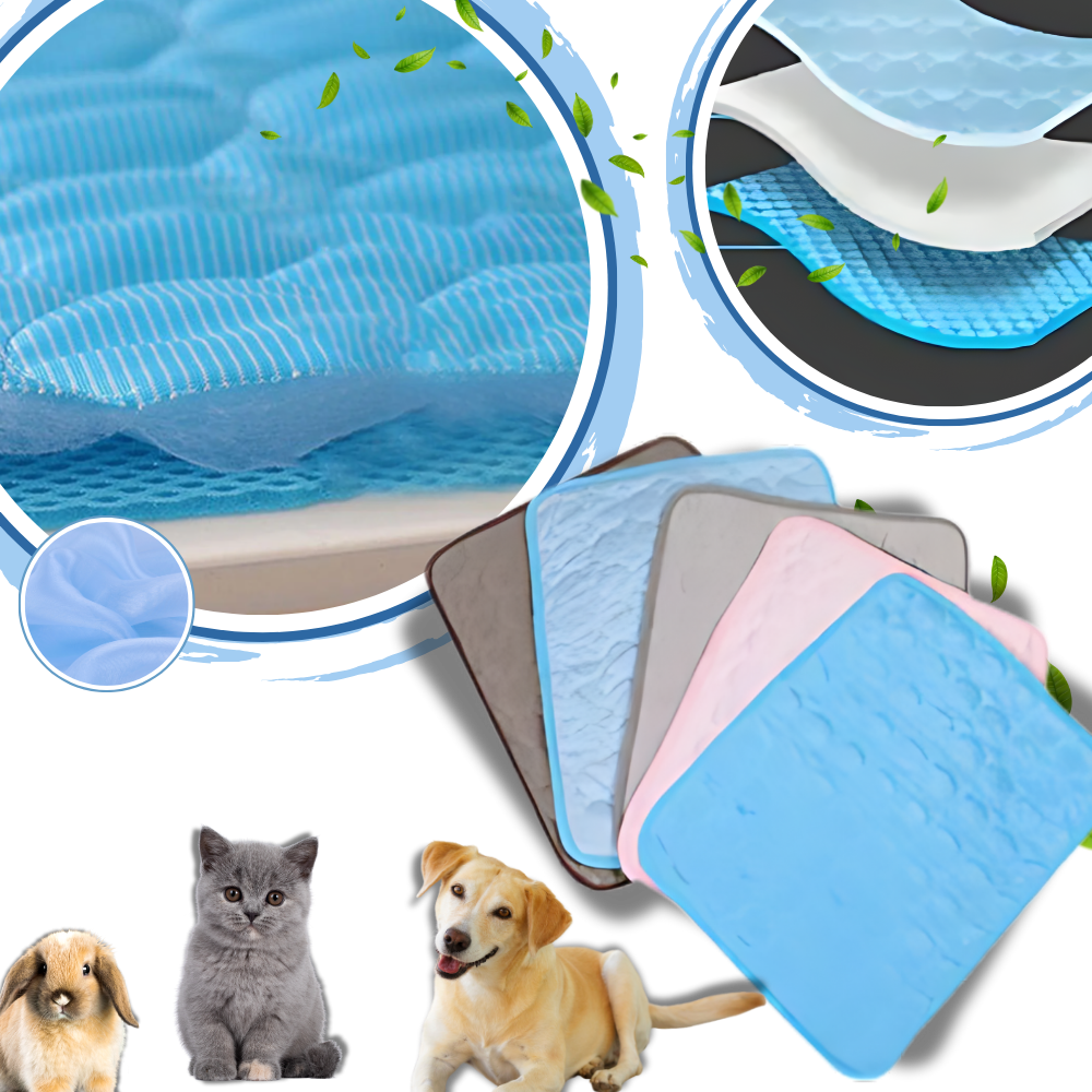 Tapis rafraîchissant pour chien et chat, cinq coloris, du XS au XL