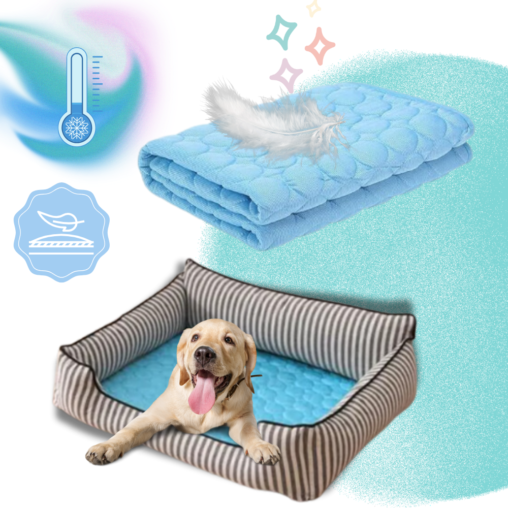 Tapis rafraîchissant pour chien et chat, cinq coloris, du XS au XL