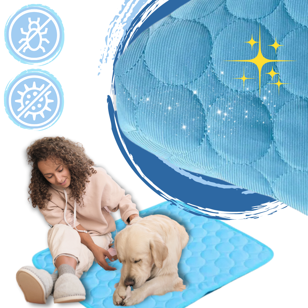 Tapis rafraîchissant pour chien et chat, cinq coloris, du XS au XL