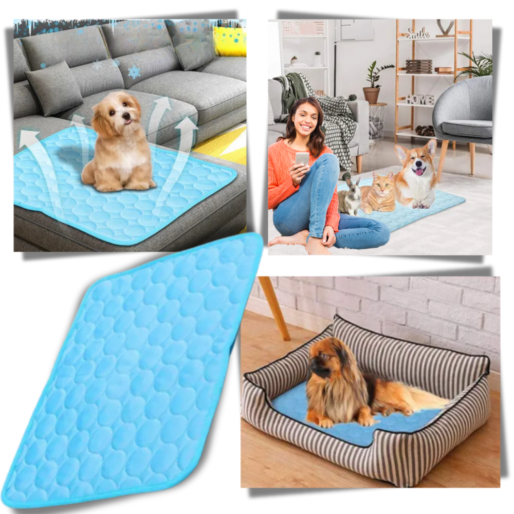 Tapis rafraîchissant pour chien et chat, cinq coloris, du XS au XL