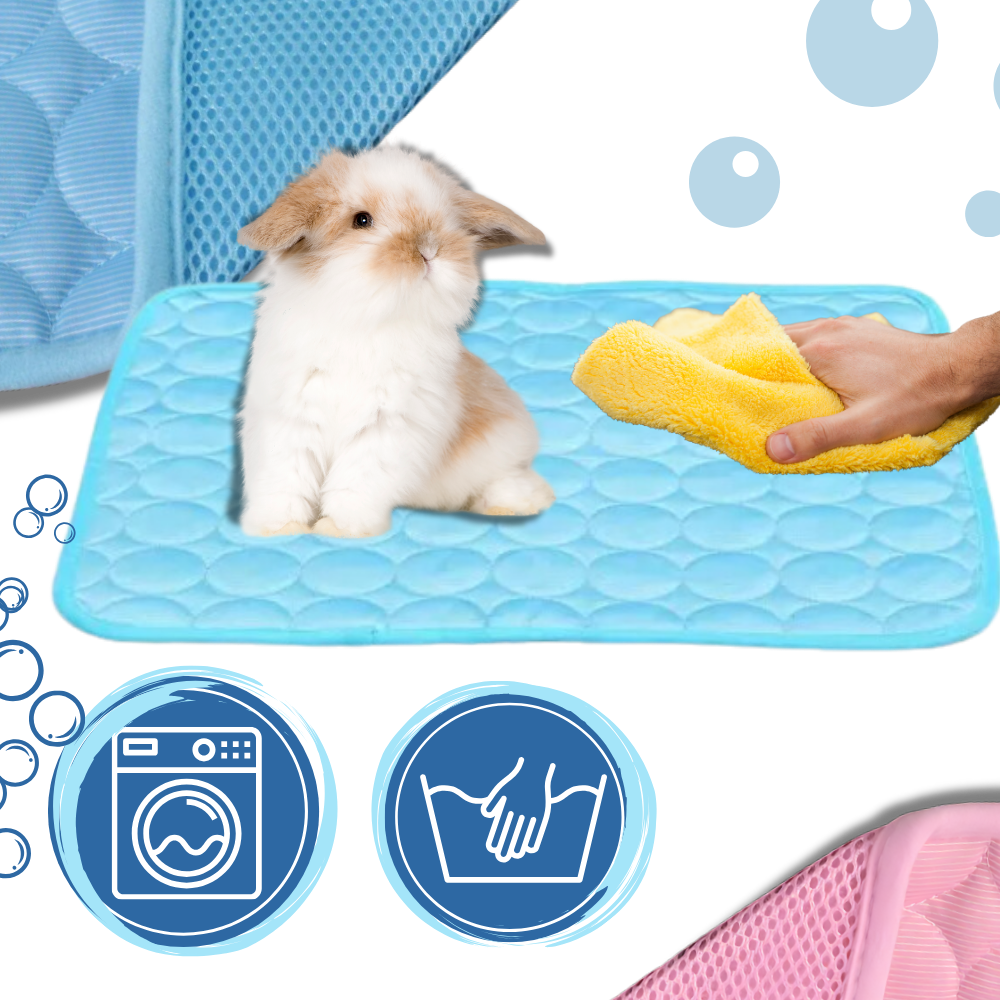 Tapis rafraîchissant pour chien et chat, cinq coloris, du XS au XL