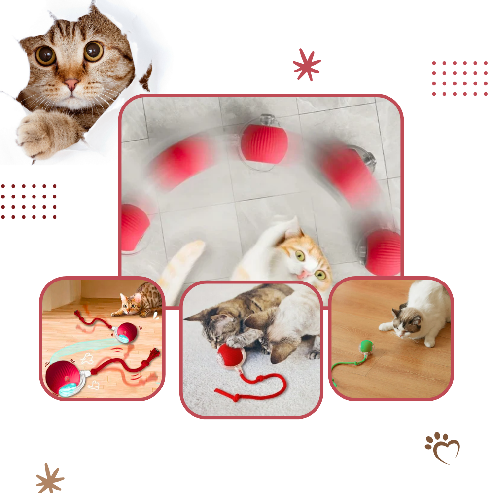 Jouet interactif pour chat, automatique et rechargeable