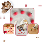 Jouet interactif pour chat, automatique et rechargeable
