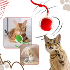 Jouet interactif pour chat, automatique et rechargeable