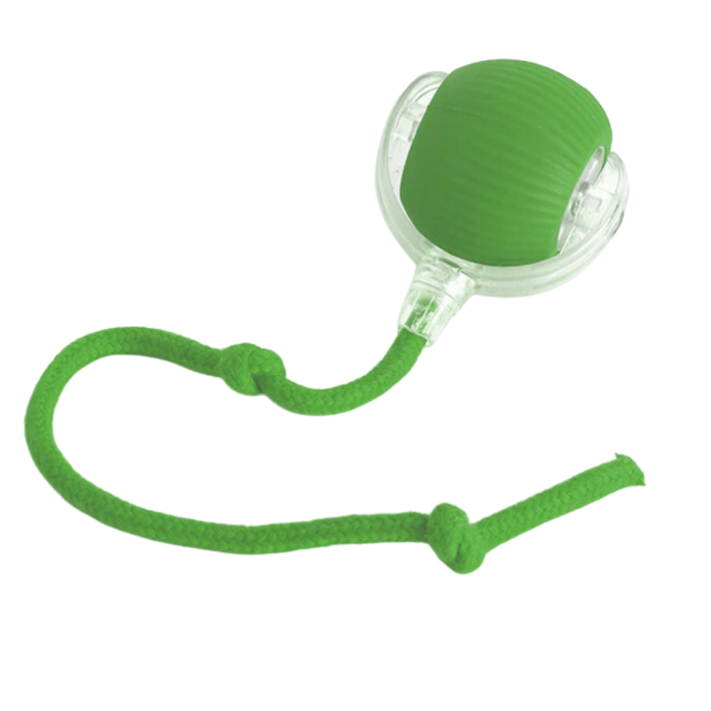 Jouet interactif pour chat, automatique et rechargeable, vert