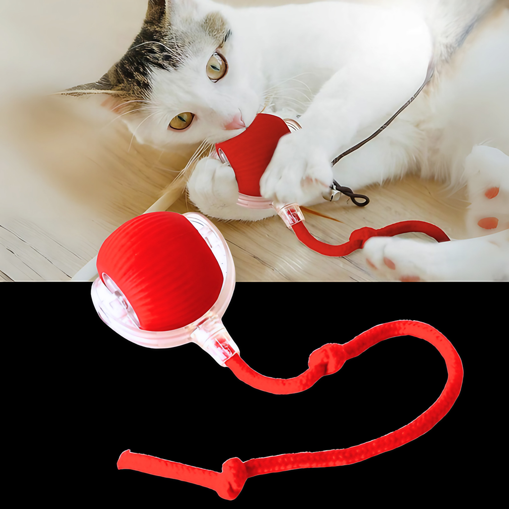 Jouet interactif pour chat, automatique et rechargeable