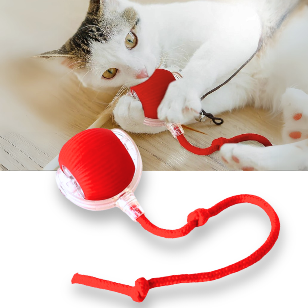 Jouet interactif pour chat, automatique et rechargeable