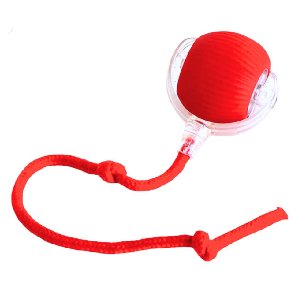 Jouet interactif pour chat, automatique et rechargeable, rouge