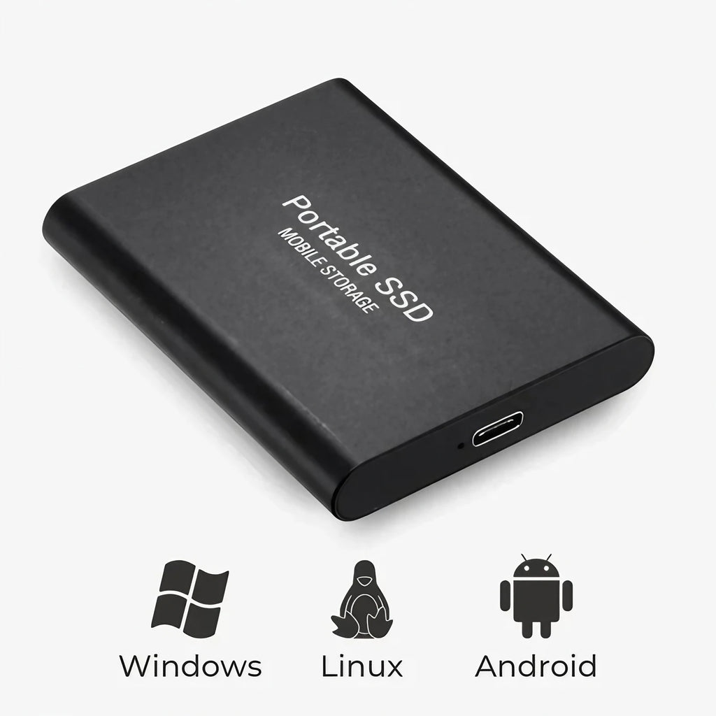 SSD externe 1 To USB 3.1, boîtier en aluminium format poche