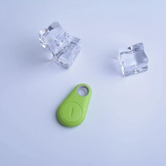 Traceur Bluetooth anti-perte pour chien ou chat, portée 20 m