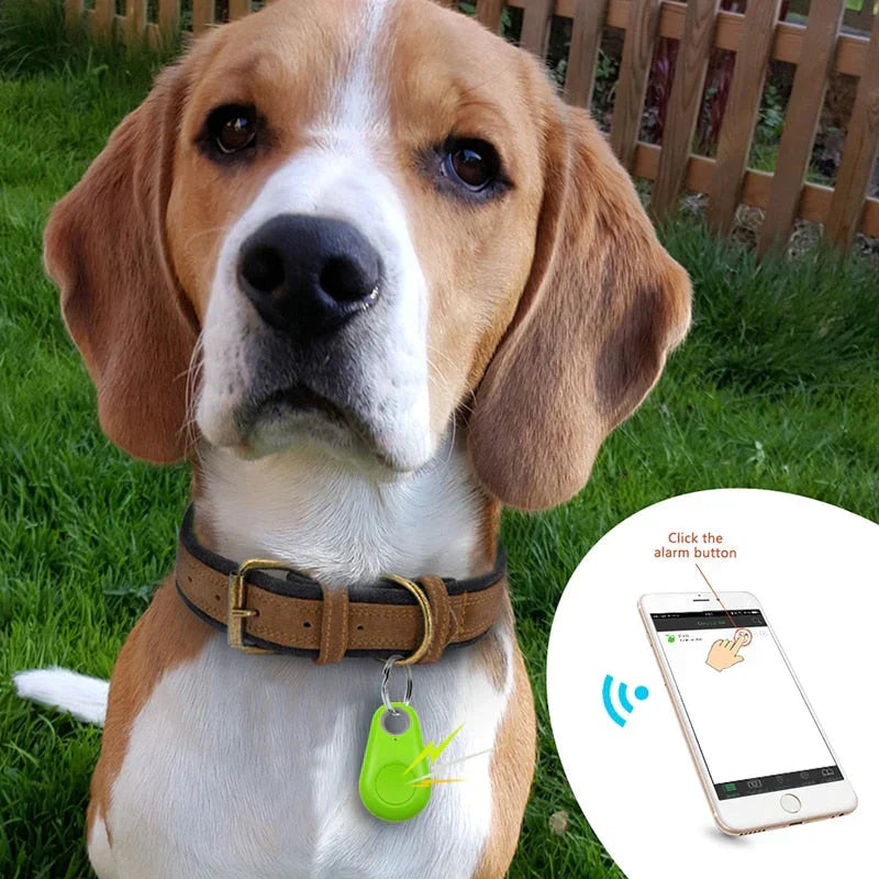 Traceur Bluetooth anti-perte pour chien ou chat, portée 20 m