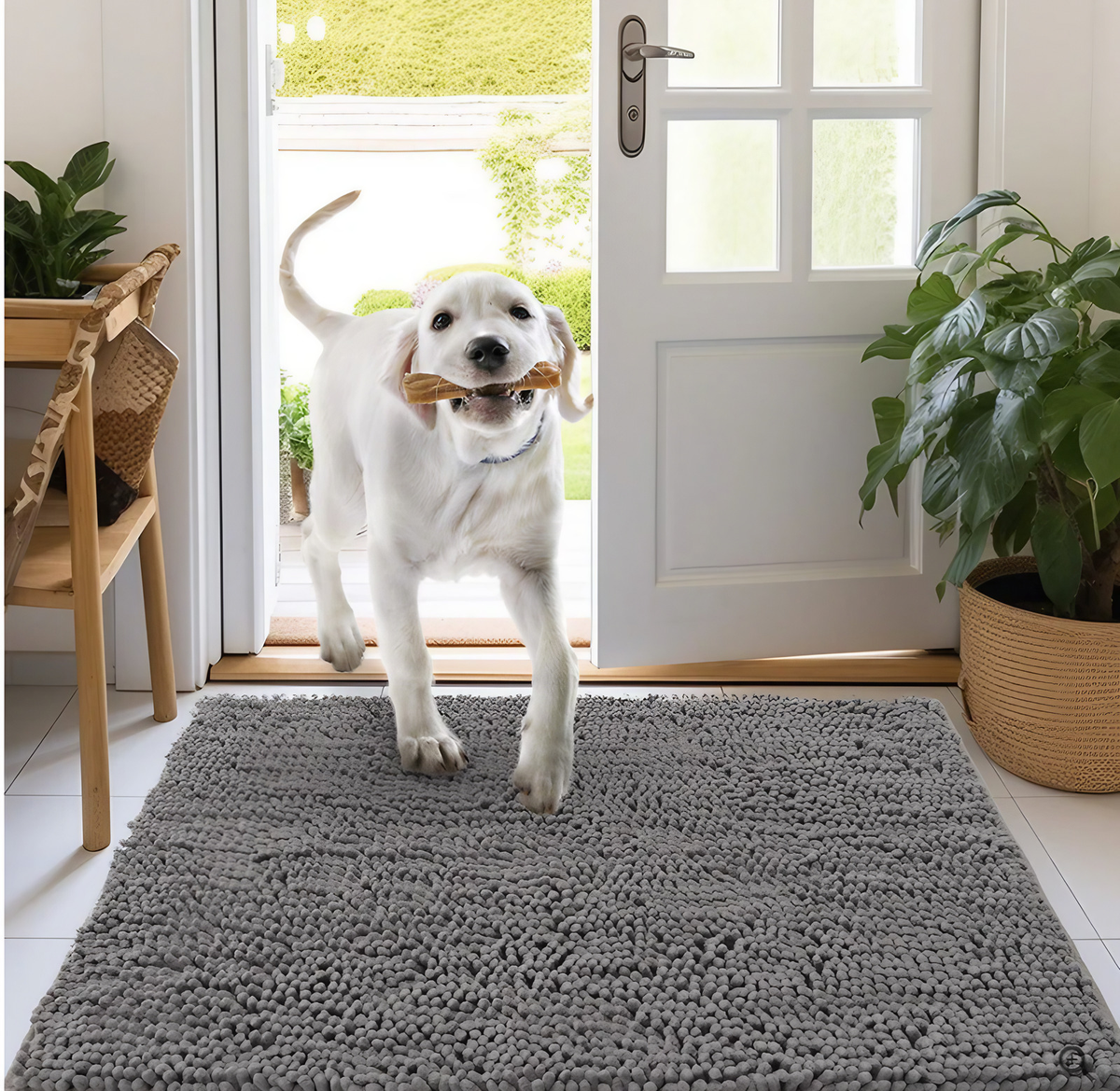 Tapis absorbant pour chien en microfibre, lavable, trois tailles, gris foncé