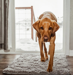 Tapis absorbant pour chien en microfibre, lavable, trois tailles, gris clair