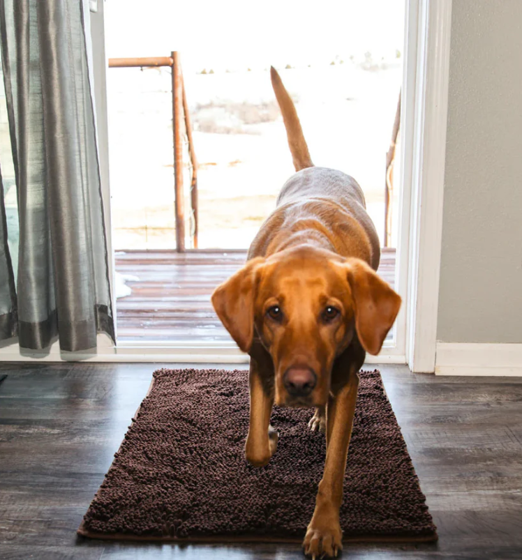 Tapis absorbant pour chien en microfibre, lavable, trois tailles, marron