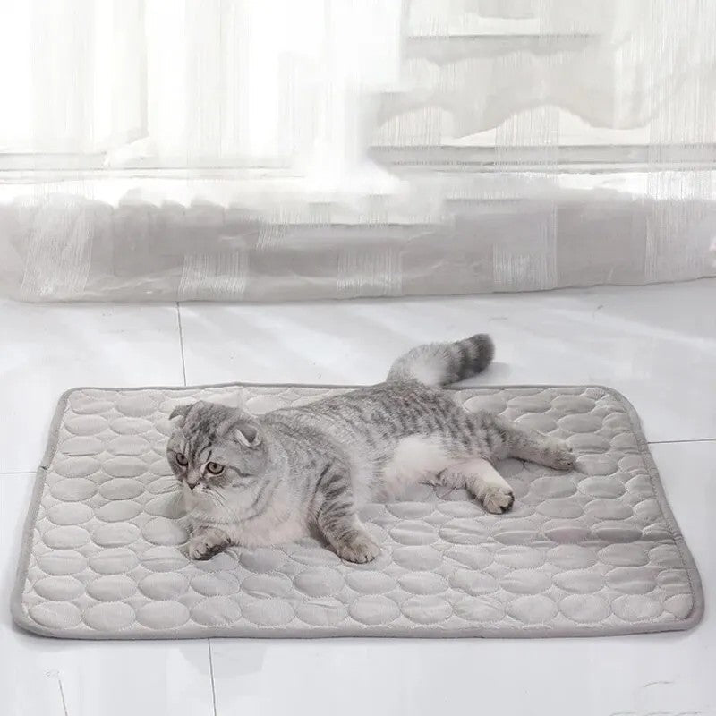 Tapis rafraîchissant pour chat, quatre tailles, quatre coloris, gris