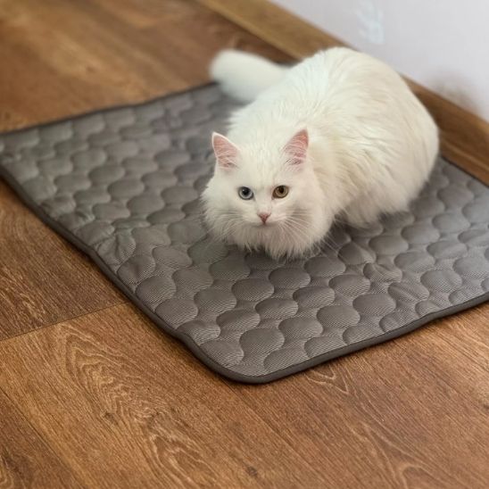 Tapis rafraîchissant pour chat, quatre tailles, quatre coloris