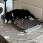 Tapis rafraîchissant pour chat, quatre tailles, quatre coloris