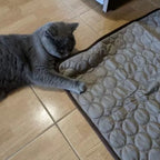 Tapis rafraîchissant pour chat, quatre tailles, quatre coloris