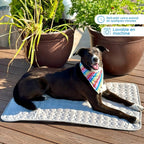 Tapis rafraîchissant pour chien sans eau ni électricité, six tailles