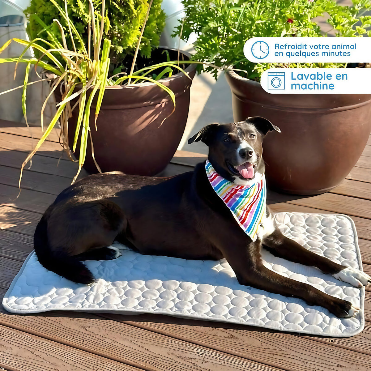 Tapis rafraîchissant pour chien sans eau ni électricité, six tailles, gris