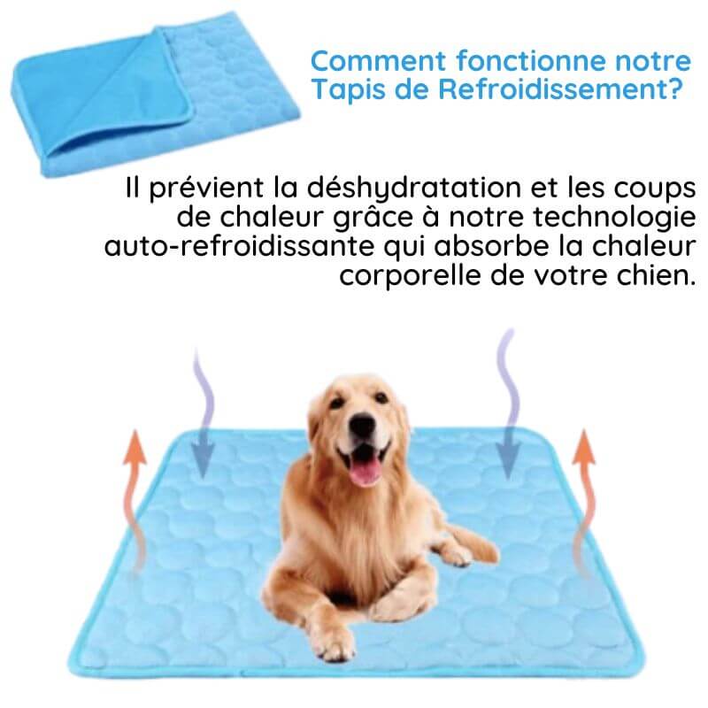 Tapis rafraîchissant pour chien sans eau ni électricité, six tailles