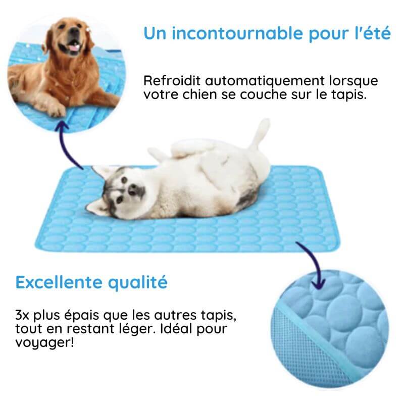 Tapis rafraîchissant pour chien sans eau ni électricité, six tailles