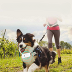 Traceur GPS chien en temps réel, batterie 1000 mAh, cinq coloris