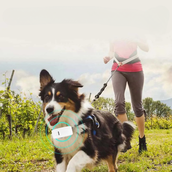 Traceur GPS chien en temps réel, batterie 1000 mAh, cinq coloris