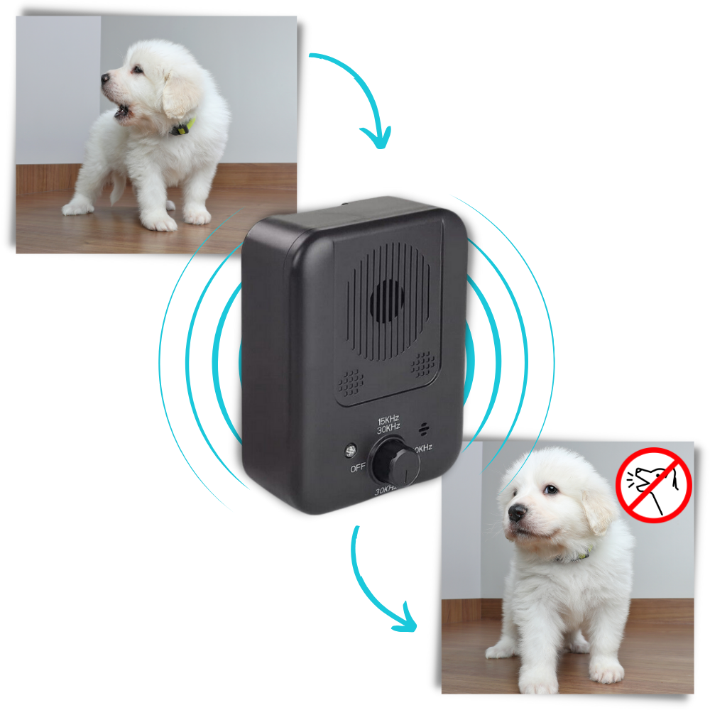 Boîtier anti-aboiement à ultrasons pour chien, rechargeable
