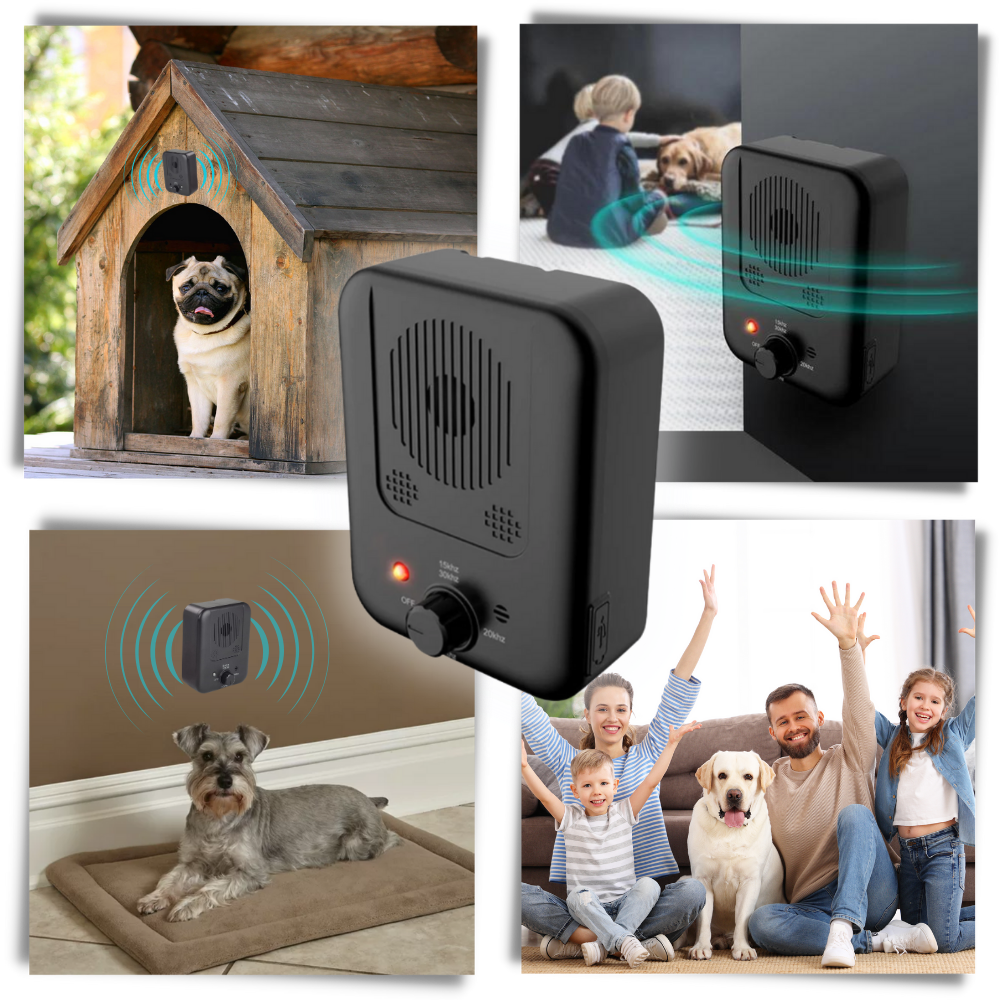Boîtier anti-aboiement à ultrasons pour chien, rechargeable