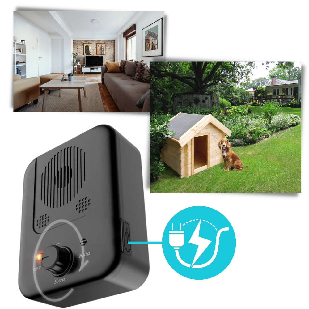 Boîtier anti-aboiement à ultrasons pour chien, rechargeable