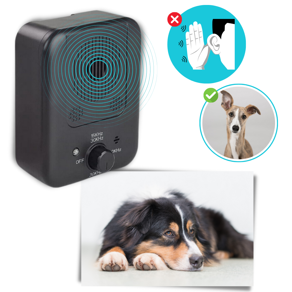 Boîtier anti-aboiement à ultrasons pour chien, rechargeable
