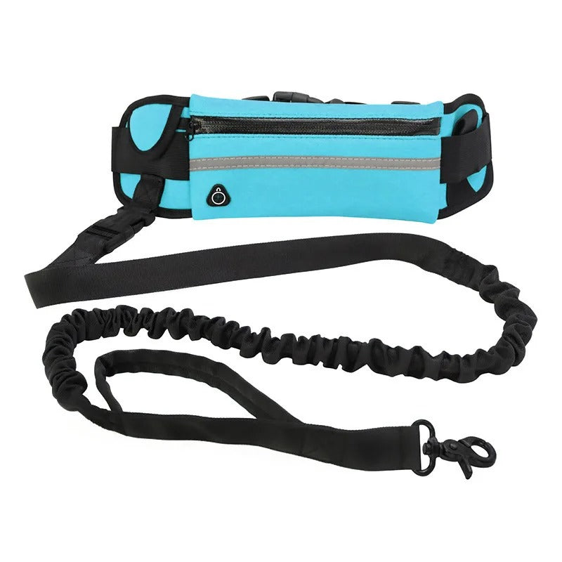 Laisse mains libres pour chien, ceinture réglable et laisse élastique, bleu