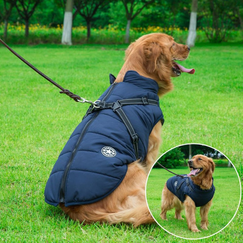 Manteau d'hiver imperméable pour chien, bandes réfléchissantes