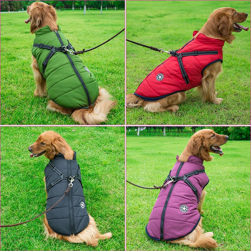 Manteau d'hiver imperméable pour chien, bandes réfléchissantes
